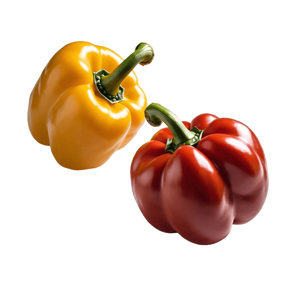 (GT) Red & Yellow Bell Pepper, 2 Pcs