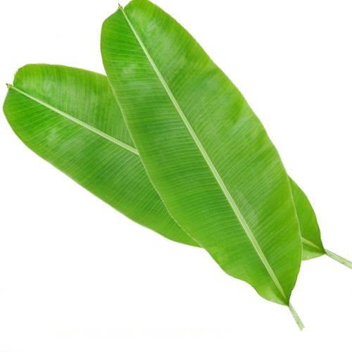 Banana Leaf, 2 Pcs
