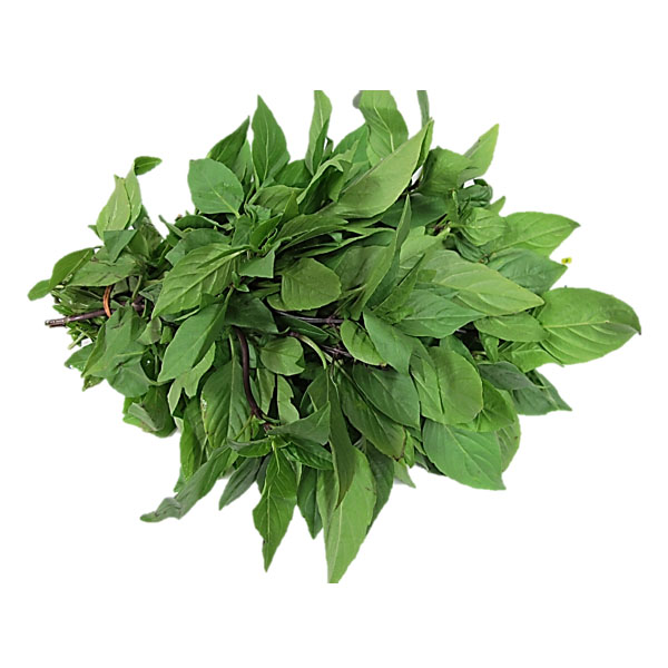 Basil Leaves, 100 gm