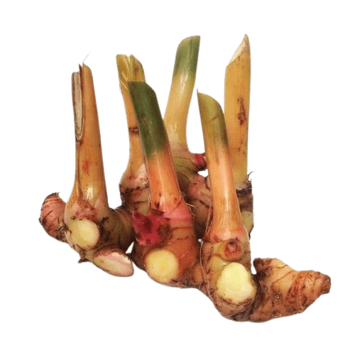 Thai Ginger (Galangal), 250 gm