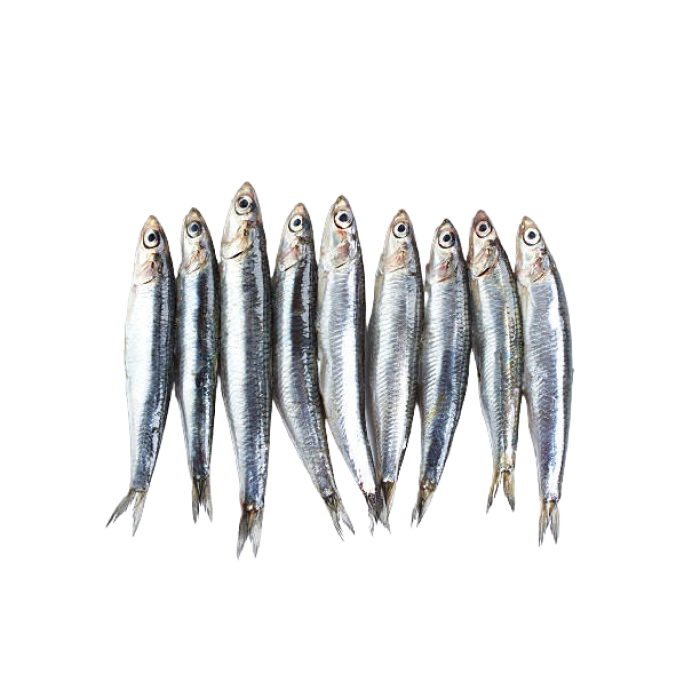 Frozen Anchovy Cleaned (40-60 Pcs), 1 Kg