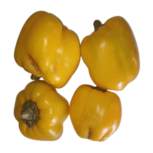 Yellow Capsicum (Economy), 500 gm