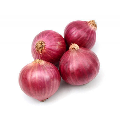 Onion/Vengayam (Economy), 20 Kg