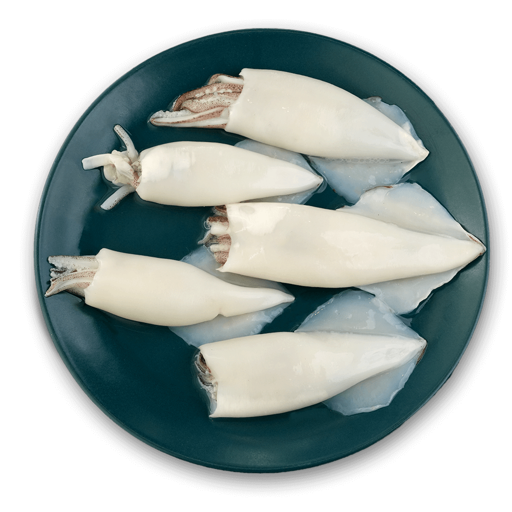 Frozen Squid Whole & Cleaned U/5, 20% Glaze, 1 Kg