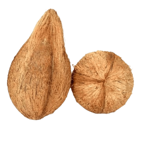 Coconut/Nariyal, 2 Pcs