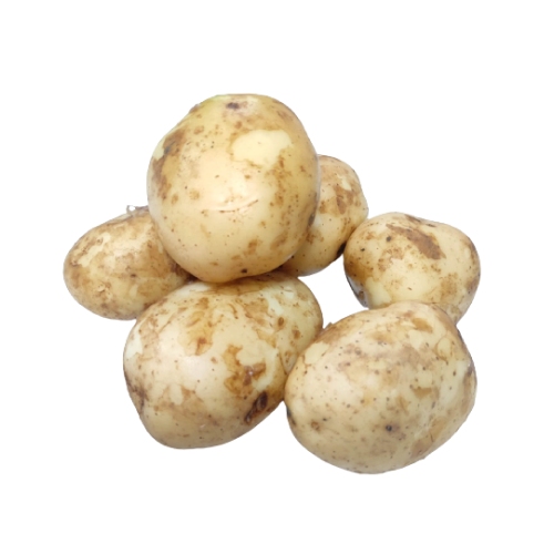 Potato/Batata, New Crop (Big - Indore), 10 Kg