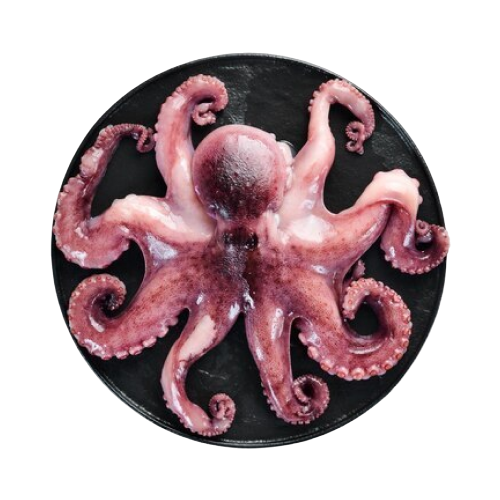 Frozen Big Octopus, 2 Pcs/Kg, 1 Kg