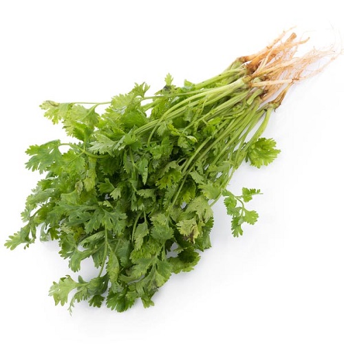 (GT) Dhaniya/Coriander Leaves, 1 Kg