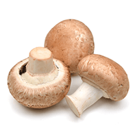 Fresh Mushroom Button, 1 Kg