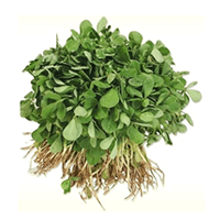 Fresh Methi, 1 Kg