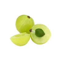 Amla