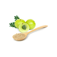 Amla Powder