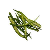 Chilli