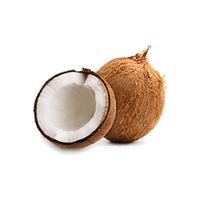 Coconut