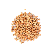 Coriander Seeds