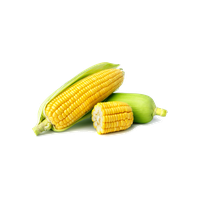 Corn