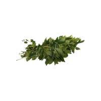 Curry Leaves
