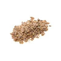 Dill Seeds