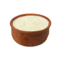Double Toned Curd
