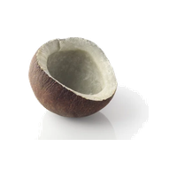 Dry Coconut