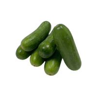 English Cucumber
