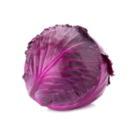 Exotic Cabbage