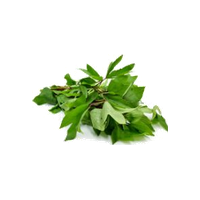 Gongura