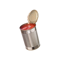 Imported Canned Tomato