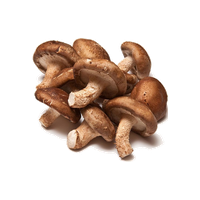 Imported Mushroom