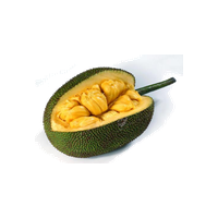 Jackfruit