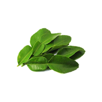 Kaffir Lime Leaves