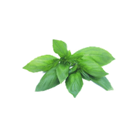 Leafy
