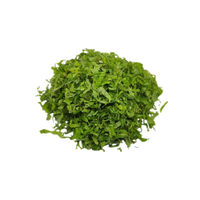 Mint Leaves