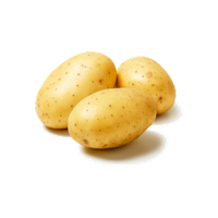 Potato