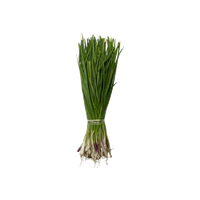 Spring Onion