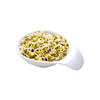 Sprouts