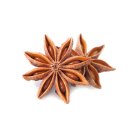 Star Anise