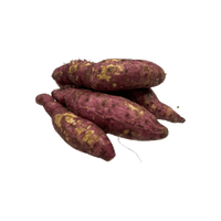 Sweet Potato