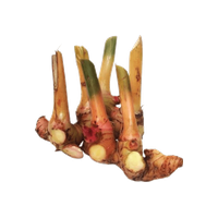 Thai Ginger