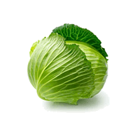 Cabbage
